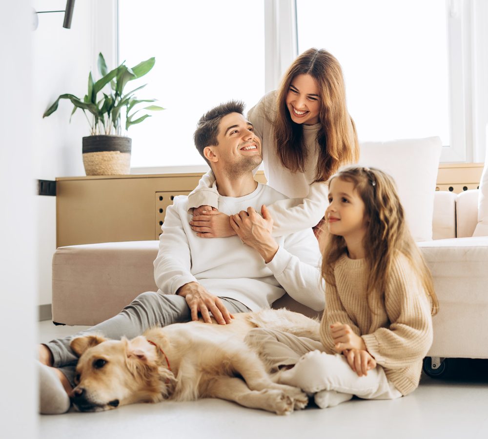 shutterstock_2559354355_redux